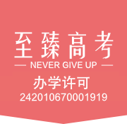 至臻高考 武汉艺考生文化课培训
