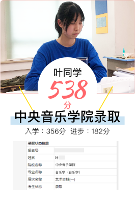 叶同学 - 艺考文化课成绩显著提升