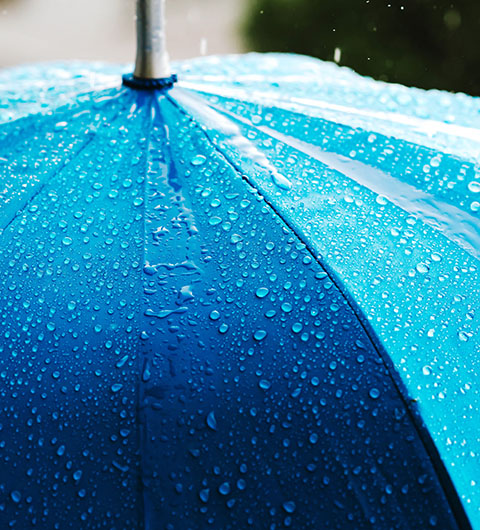 艺考生文化老师