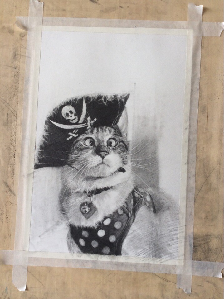 朱老师画的喵星人