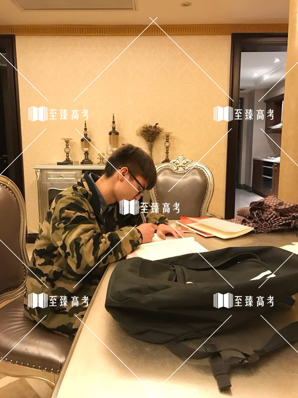 艺考生复习文化课
