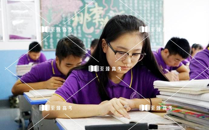 艺术生文化课培训