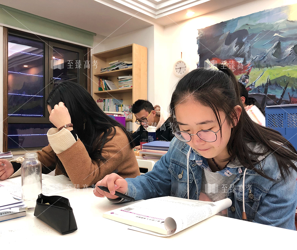 至臻高考 专注艺术生文化课冲刺