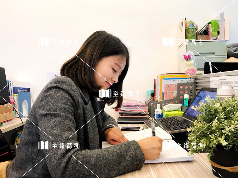 可爱的历史老师正在认真备课