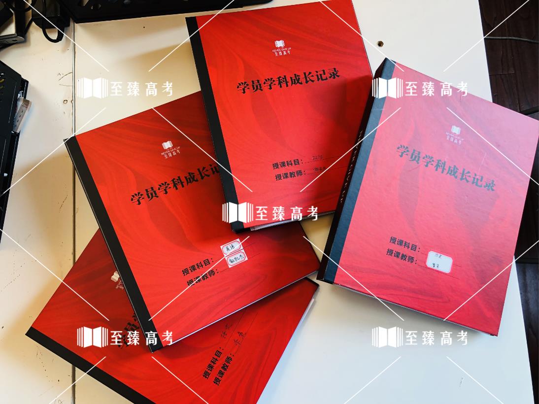 至臻学员成长记录