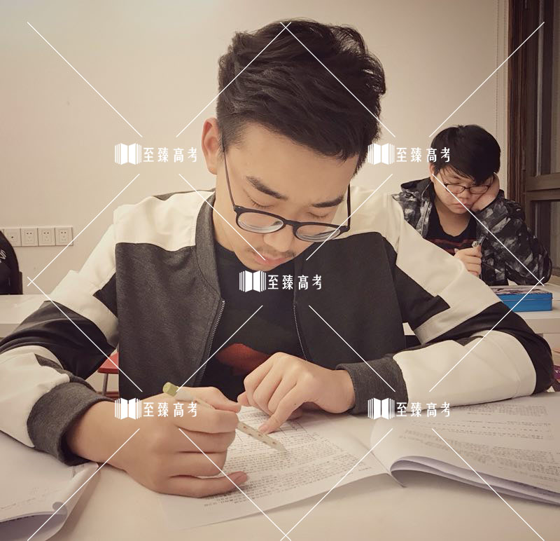 武汉至臻艺术生文化课