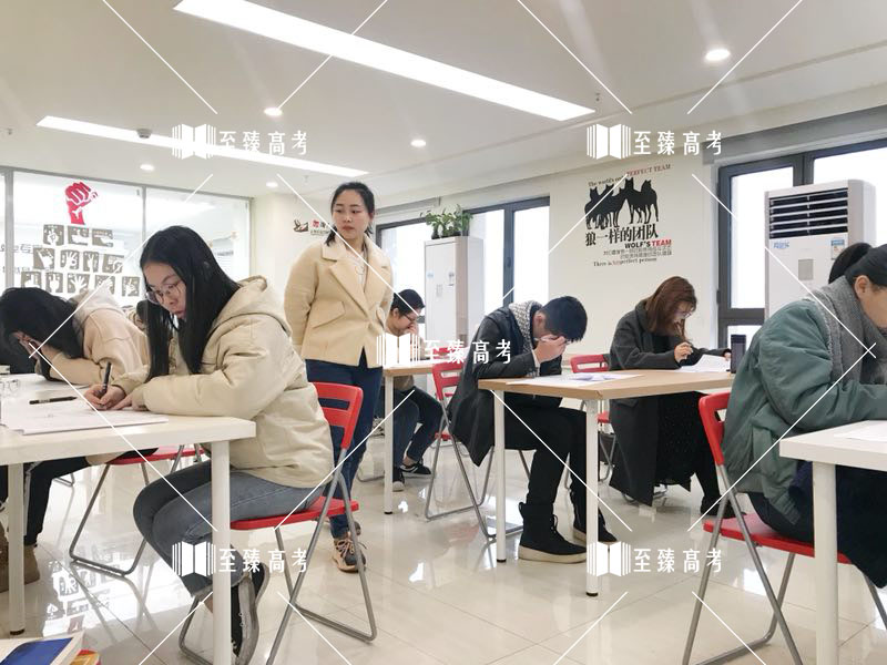 武汉至臻艺术生文化课