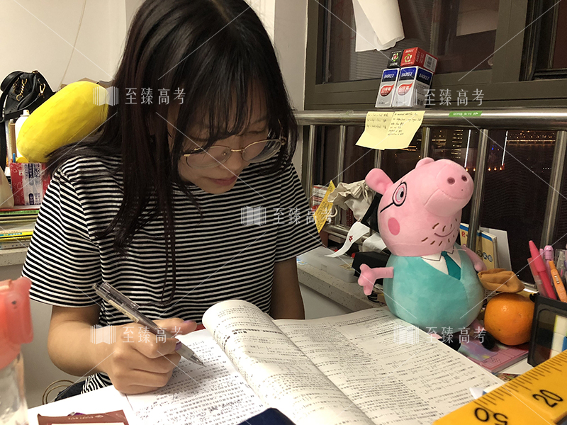 艺术生在复习文化课