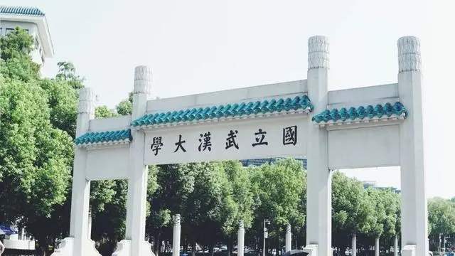 武汉大学