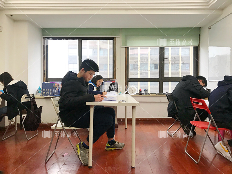 武汉传媒生文化课