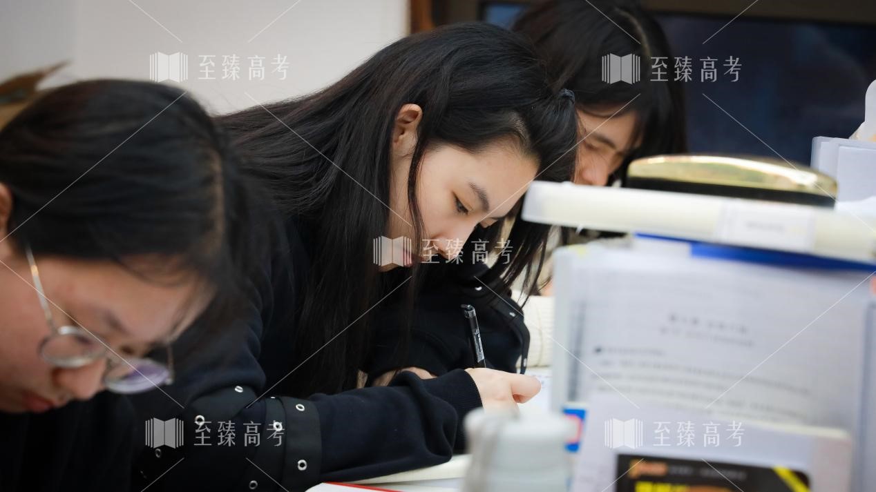 武汉艺术生文化课