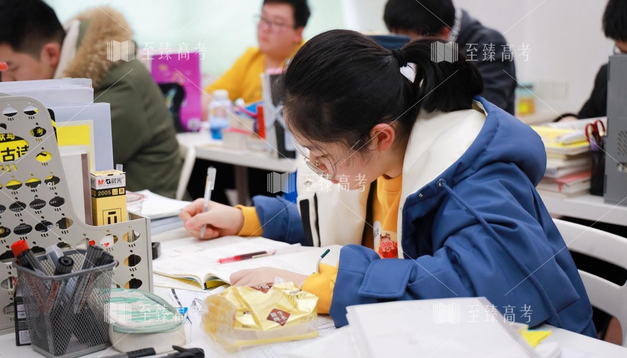 武汉艺术生文化课