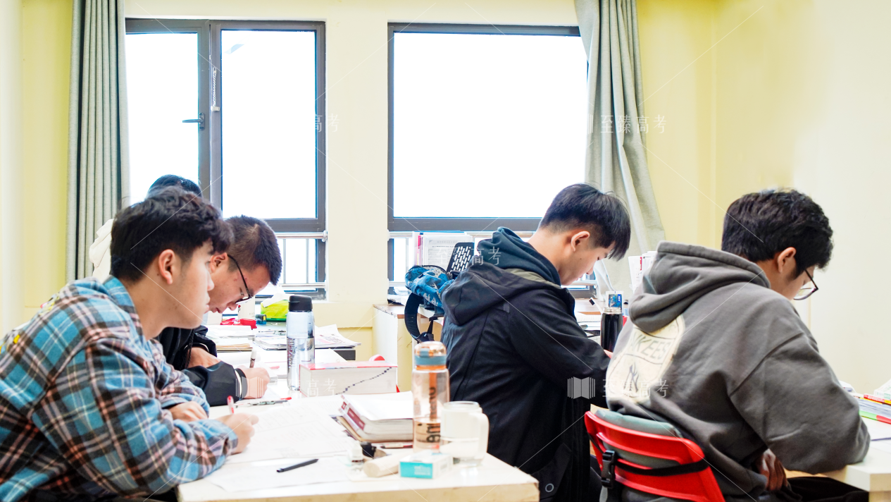 武汉艺术生文化课