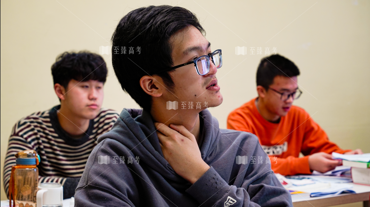 武汉艺术生文化课