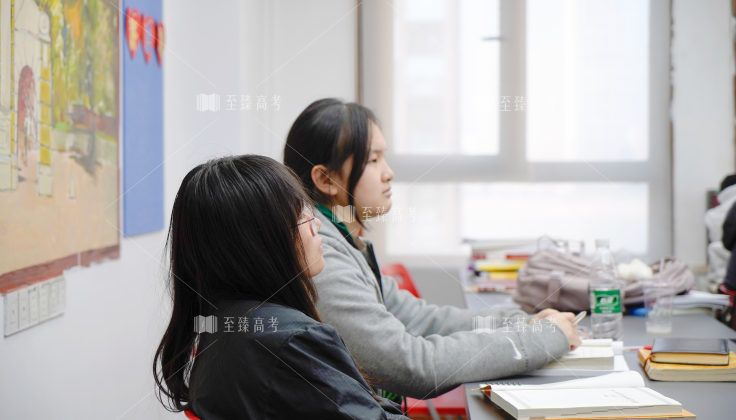 武汉艺术生文化课