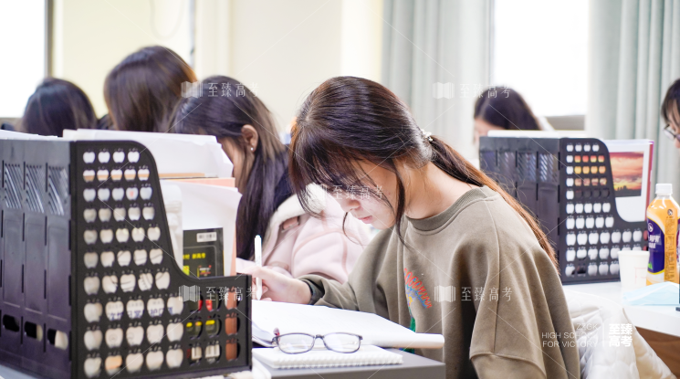 武汉艺术生文化课