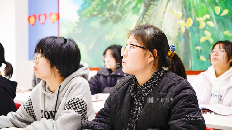 武汉艺术生文化课