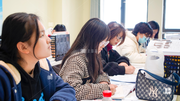 武汉艺术生文化课