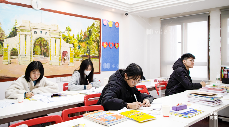 武汉艺术生文化课