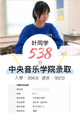 叶同学 - 艺考文化课成绩显著提升