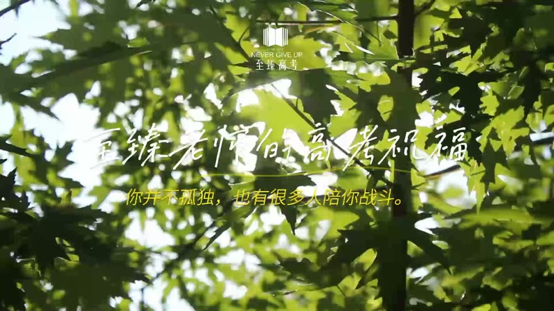 至臻高考22届高考祝福