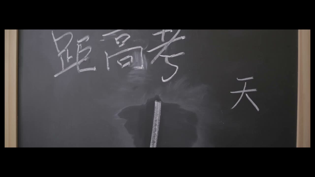至臻高考16届宣传片倒计时彩蛋版