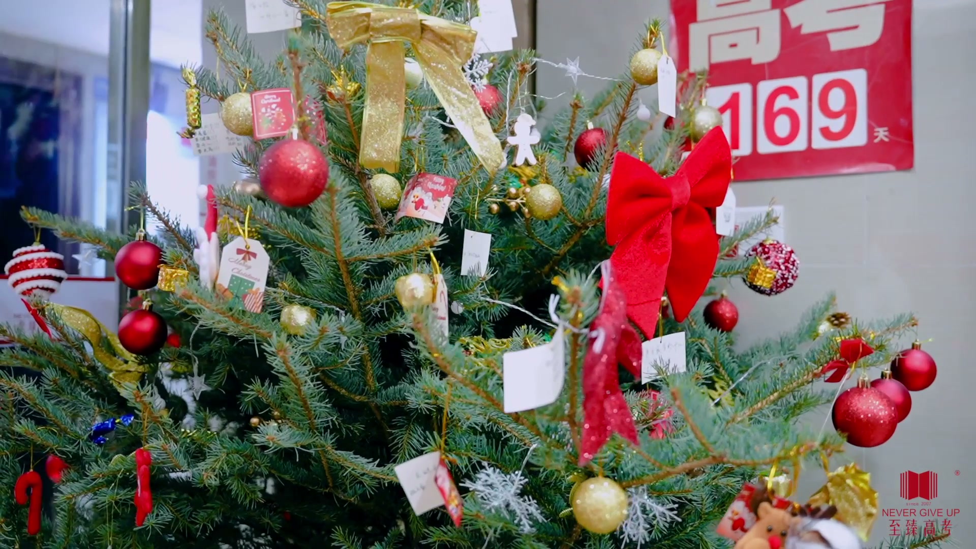 25届圣诞 · 积玉桥校区