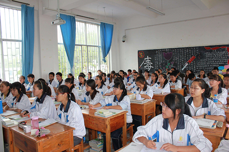 艺考生高中数学