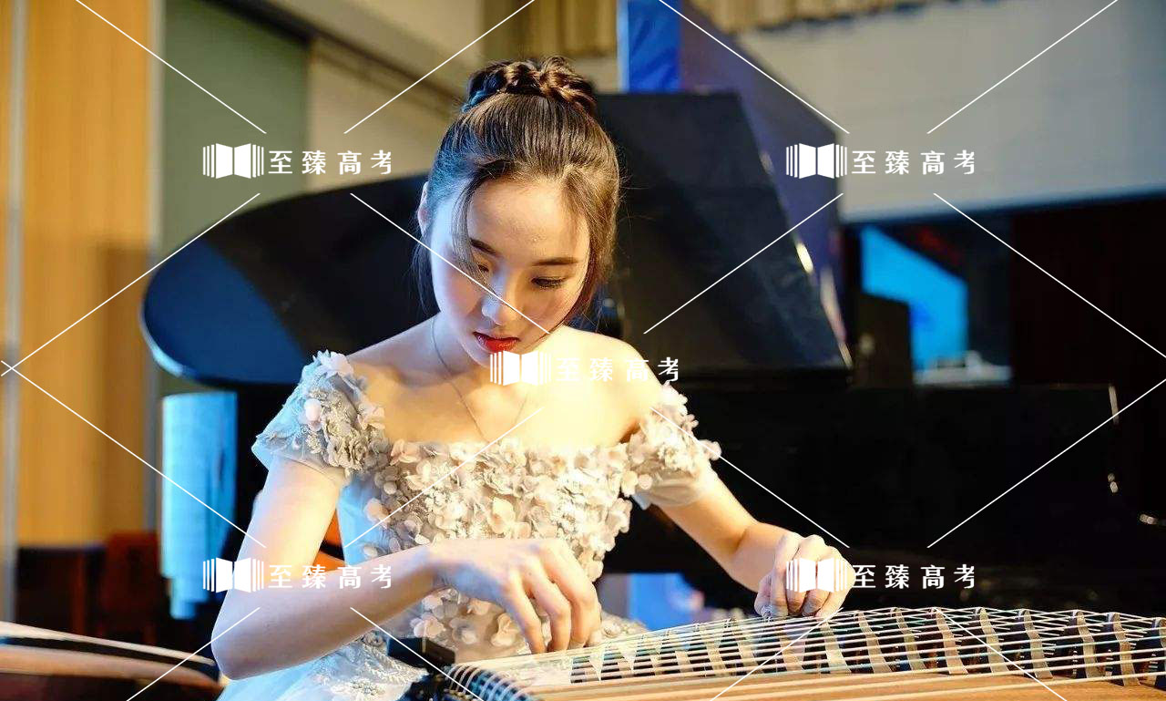 音乐类艺考生专业表演