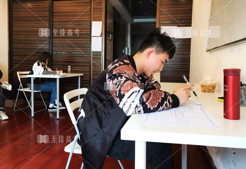 武汉艺术生文化课复习