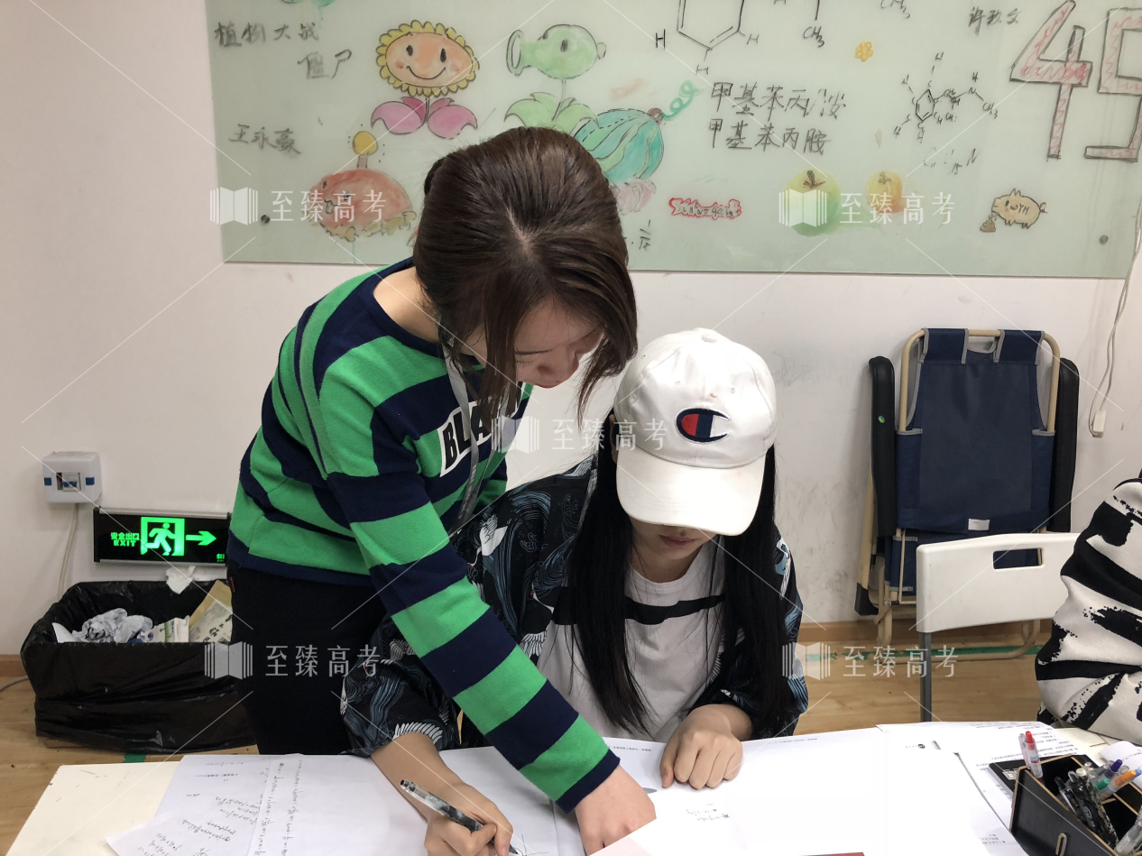 武汉艺术生文化课