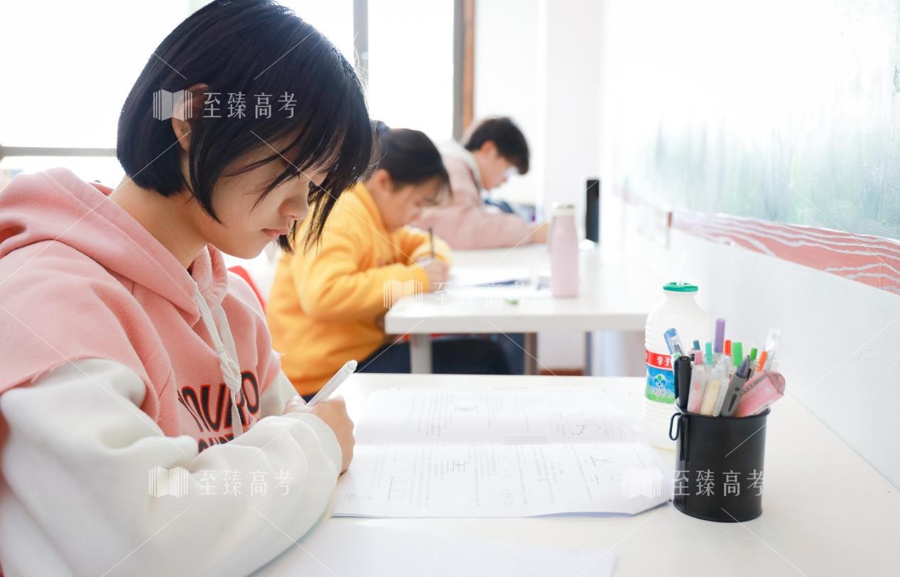 武汉艺术生文化课