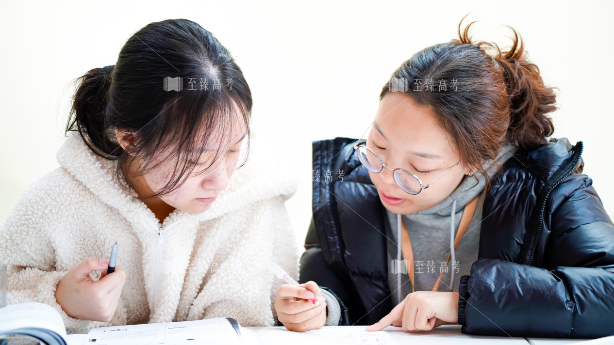 武汉艺术生文化课