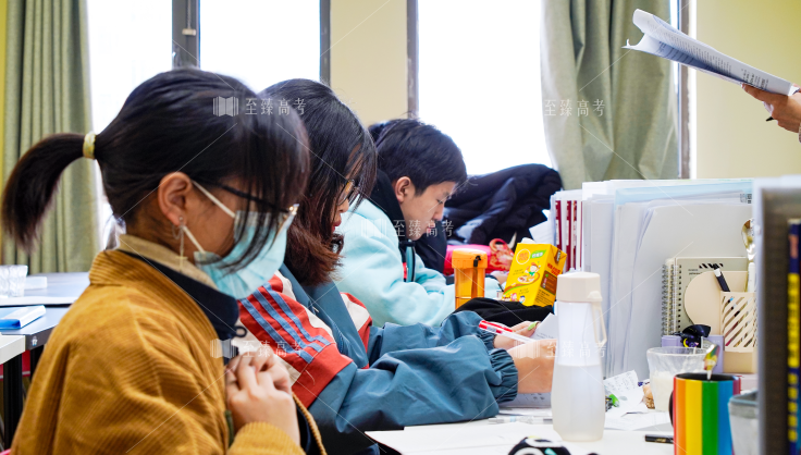 武汉艺术生文化课