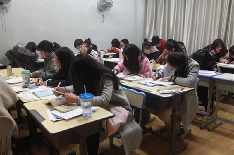 艺术生考生文化课高考冲刺