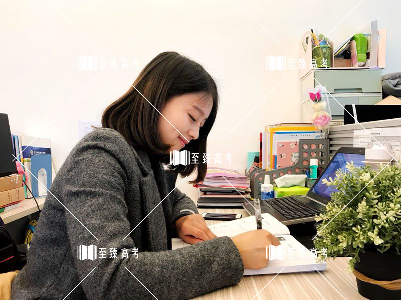 艺考生文化课培训