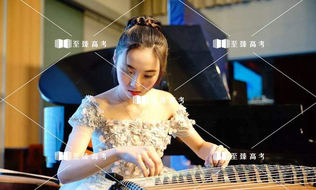 音乐类艺考生专业表演