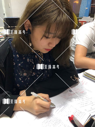 艺术生勤加复习文化课