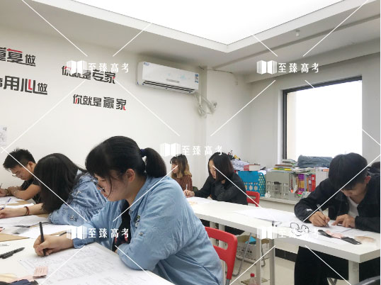 艺术生高考文化课辅导