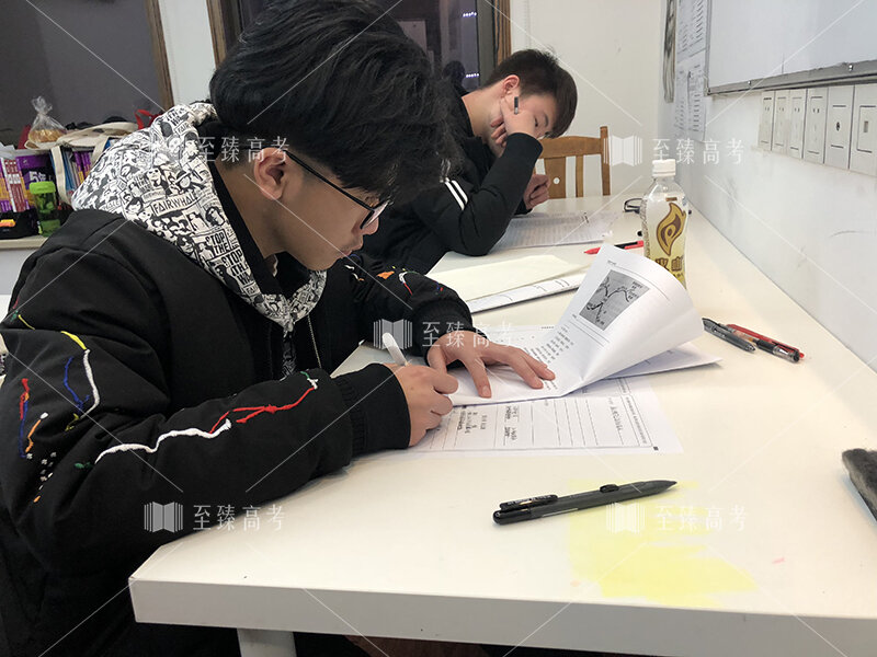 艺术生文化课百日冲刺辅导班