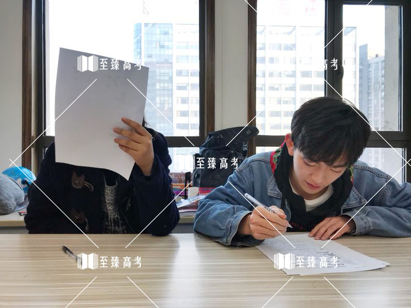 湖北艺术生文化课冲刺