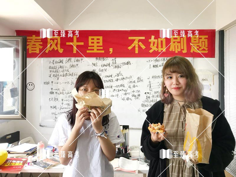 武汉至臻艺考生文化