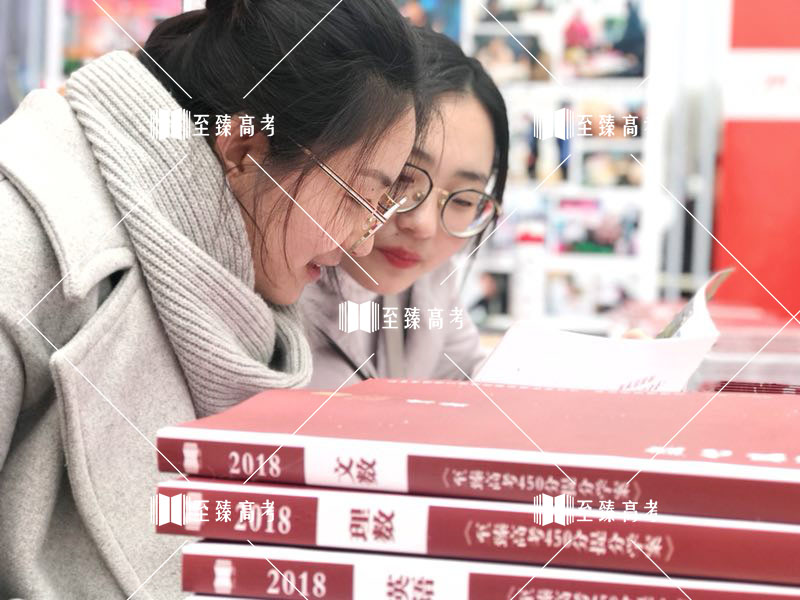 武汉至臻艺考生文化课