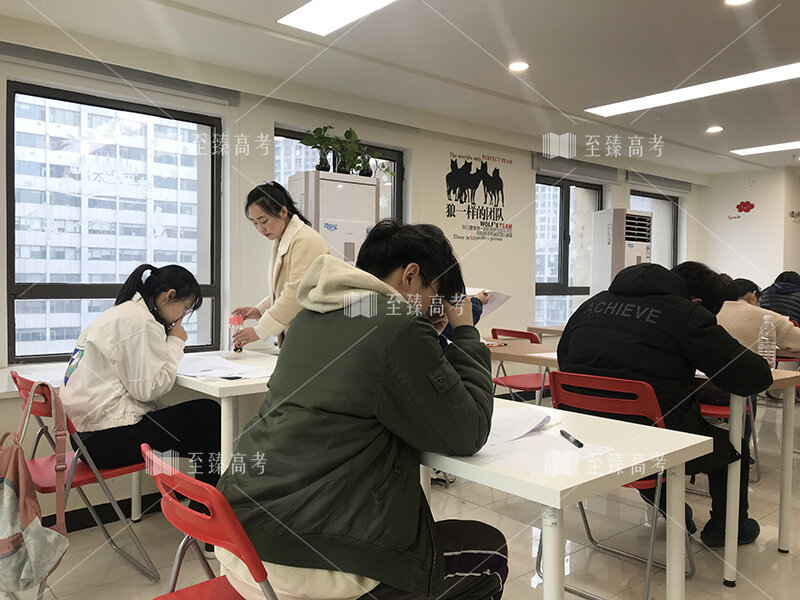 武汉至臻艺术生文化课