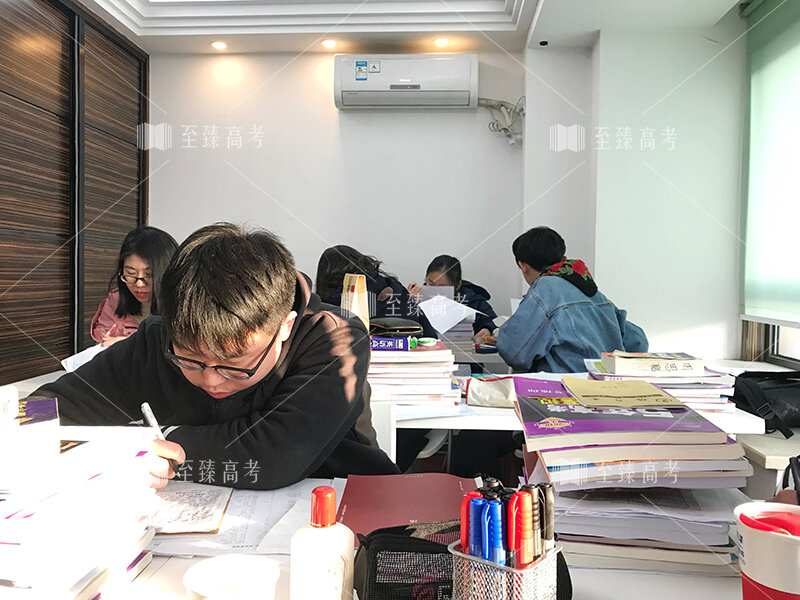 武汉艺术生文化课