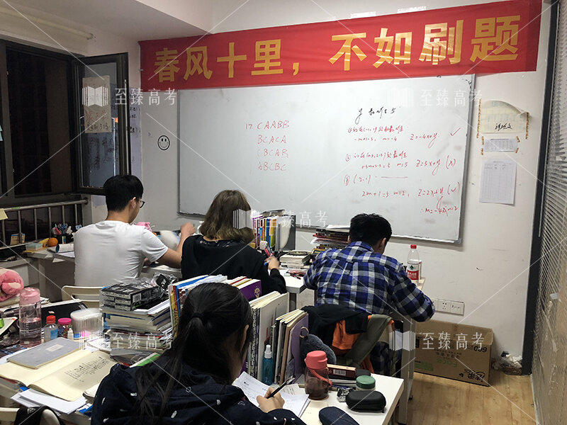 武汉艺术生文化课