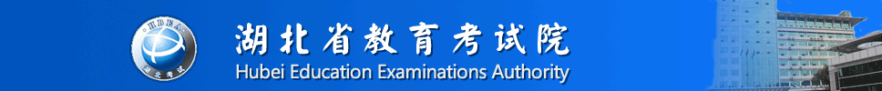 武汉艺术生文化课