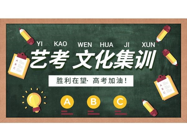 武汉艺术生文化课