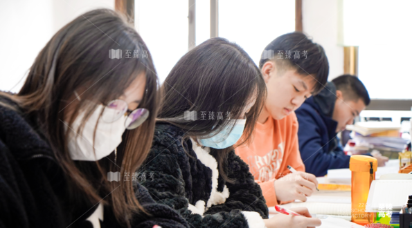 武汉艺术生文化课