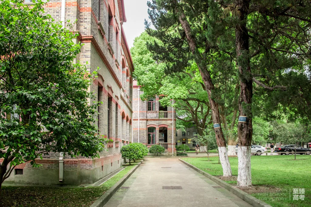 艺考生文化课要求多少分：去机构集训能快速达到分数吗